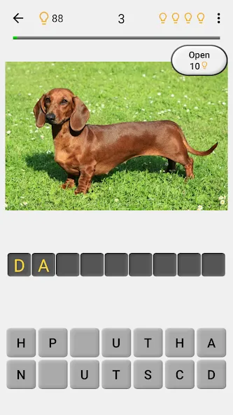 Dogs Quiz - Guess All Breeds!  [МОД Unlocked] Screenshot 2