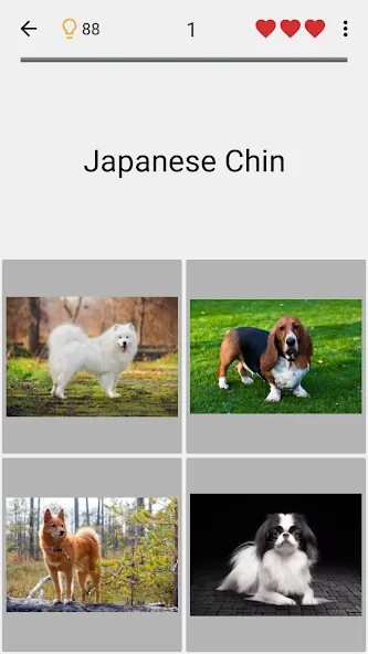 Dogs Quiz - Guess All Breeds!  [МОД Unlocked] Screenshot 4