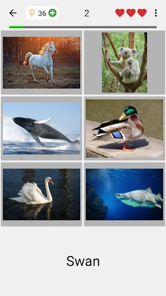 Guess Pictures and Words Quiz  [МОД Меню] Screenshot 2