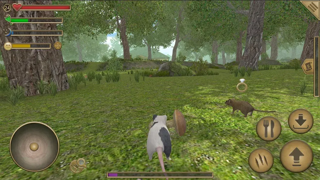 Mouse Simulator :  Forest Home  [МОД Бесконечные монеты] Screenshot 1