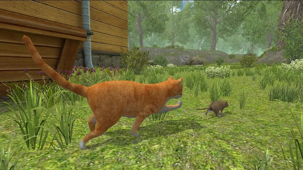 Mouse Simulator :  Forest Home  [МОД Бесконечные монеты] Screenshot 3