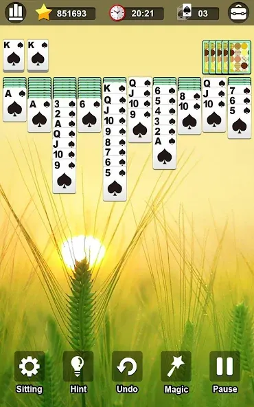 Spider Solitaire  [МОД Бесконечные деньги] Screenshot 3