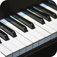 Скачать взломанную Real Piano (Реал Пиано)  [МОД Menu] - последняя версия apk на Андроид