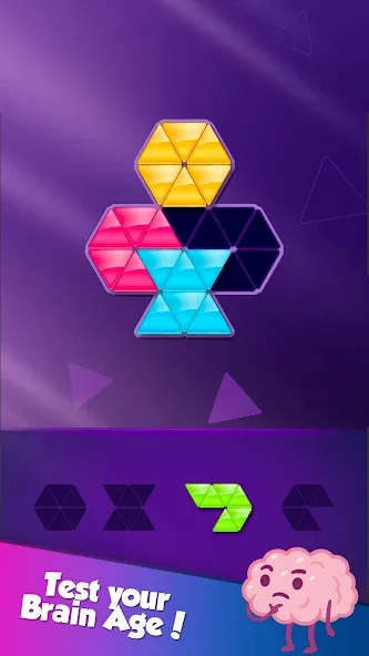 Block! Triangle Puzzle:Tangram  [МОД Бесконечные деньги] Screenshot 5