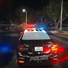 Взломанная Highway Police Chase Simulator  [МОД Много монет] - полная версия apk на Андроид
