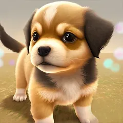 Скачать взломанную Dog Town: Puppy Pet Shop Games (Догтаун)  [МОД Mega Pack] - полная версия apk на Андроид