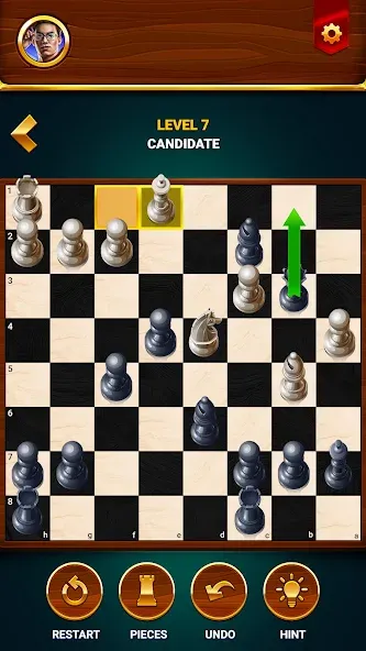 Chess - Offline Board Game  [МОД Unlimited Money] Screenshot 5