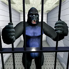 Скачать взлом Gorilla Smash City Escape Jail  [МОД Бесконечные деньги] - стабильная версия apk на Андроид