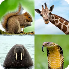 Скачать взлом Animal Quiz: Guess the Animal  [МОД Menu] - последняя версия apk на Андроид