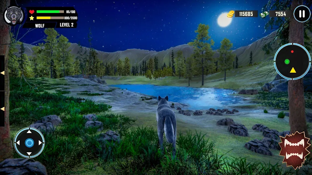 Wild Wolf Simulator Games  [МОД Бесконечные монеты] Screenshot 4