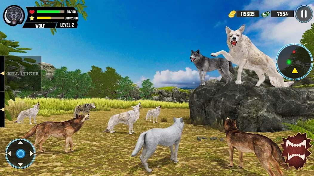 Wild Wolf Simulator Games  [МОД Бесконечные монеты] Screenshot 5