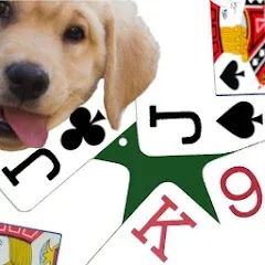 Скачать взломанную K9 Euchre (К9 Юкер)  [МОД Unlimited Money] - полная версия apk на Андроид