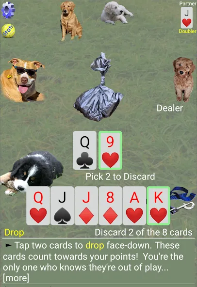 K9 Sheepshead (Schafkopf) (Шипсхед)  [МОД Много монет] Screenshot 3