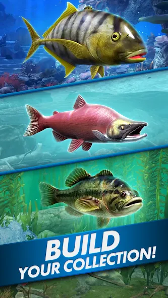 Ultimate Fishing! Fish Game  [МОД Unlimited Money] Screenshot 5