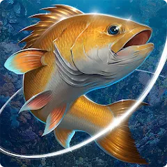 Взлом Fishing Hook  [МОД Много денег] - стабильная версия apk на Андроид