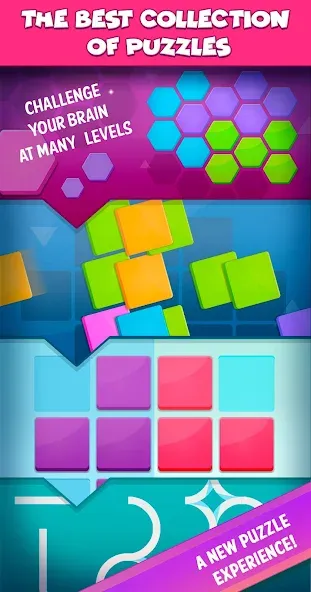 Smart Puzzles Collection  [МОД Бесконечные деньги] Screenshot 4