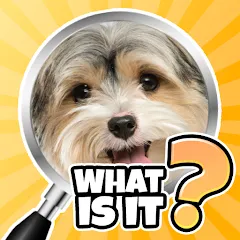 Скачать взлом What is it? Pics Trivia Quiz  [МОД Много денег] - последняя версия apk на Андроид