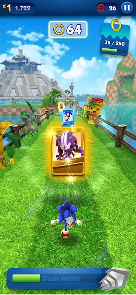 Sonic Dash - Endless Running (Соник Дэш)  [МОД Unlimited Money] Screenshot 4