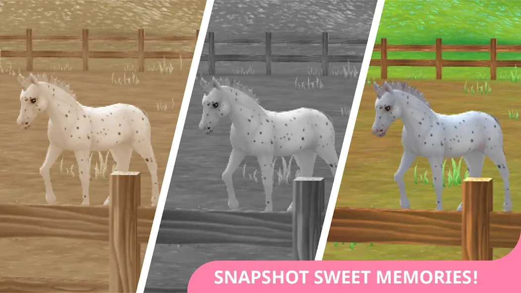 Star Stable Horses (СТар Стабл Хорсес)  [МОД Unlocked] Screenshot 4