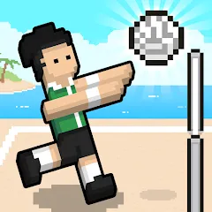 Взлом Volley Random (Воллей Рэндом)  [МОД Все открыто] - полная версия apk на Андроид