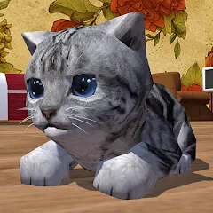 Скачать взлом Cute Pocket Cat 3D (Сьют Покет Кэт 3Д)  [МОД Много денег] - стабильная версия apk на Андроид