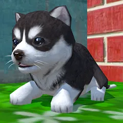 Скачать взлом Cute Pocket Puppy 3D (Сьют Покет Паппи 3Д)  [МОД Бесконечные монеты] - полная версия apk на Андроид