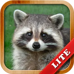 Взлом Animals for Kids  [МОД Unlocked] - стабильная версия apk на Андроид