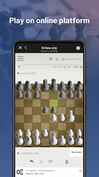 Chessnut (Честнат)  [МОД Unlimited Money] Screenshot 2